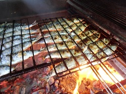 Sardines on the grill Algarve Portugal