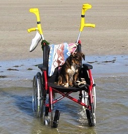 praias com acesso para deficientes