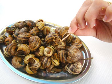 Plate of Snails in the Algarve