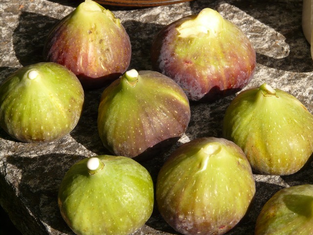 Fresh Figs Algarve