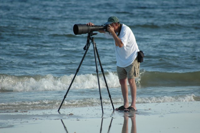 Bird Watching Algarve Portugal