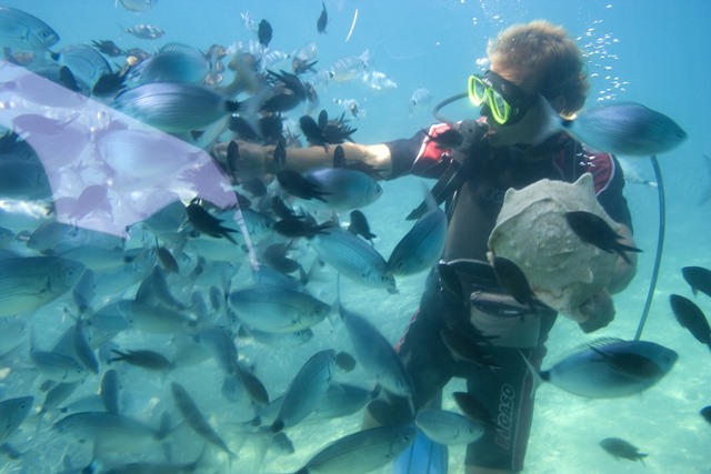 Scuba Diving Algarve Portugal