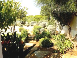 Torunns Garden Algarve Portugal