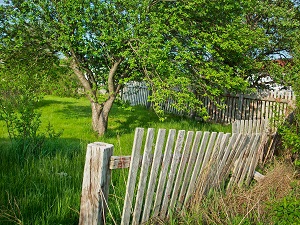 Mend your fences while in Portugal