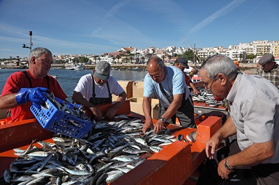 Local Algarve Fish Vendors