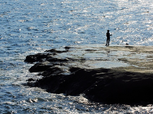 Algarve Ocean Fishing