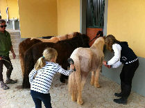 Monty da Ribeira horse riding Loule Algarve Portugal