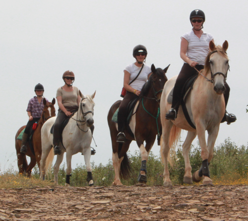 Quinta Paraiso Alto Horse Riding Bensrafim Algarve Portugal