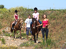 Tiffanys Horse Riding Lagos Algarve Portugal