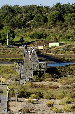 Ria Formosa walkway