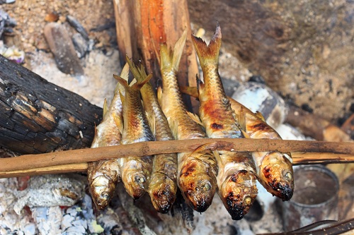 Grilling Sardines