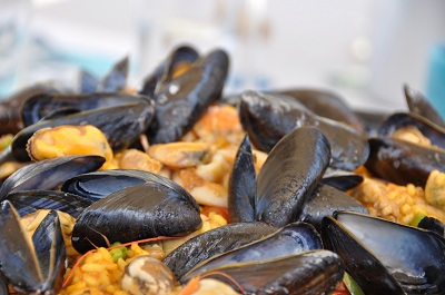 Shellfish festival - mussels and cockles