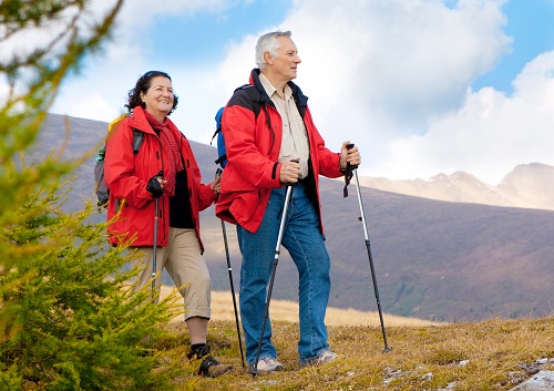 Ramblers walking hot sale sticks