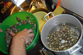 Cooking Snails in the Algarve