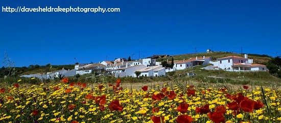 Rural Algarve David Sheldrake Photography on Meravista