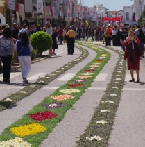 Festa das Tochas Floridas Algarve