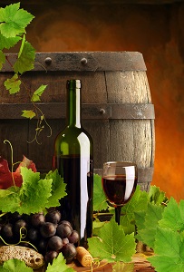 Wine Growing Algarve Portugal