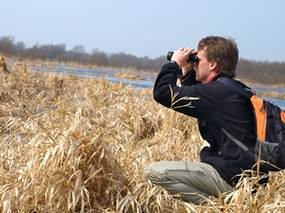 Birdwatching Algarve Portugal