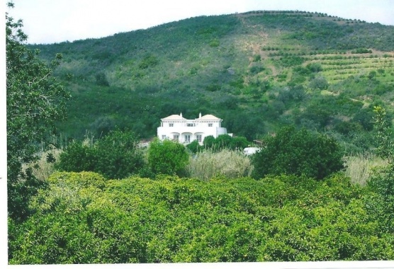 Property for Sale Tavira Algarve Portugal