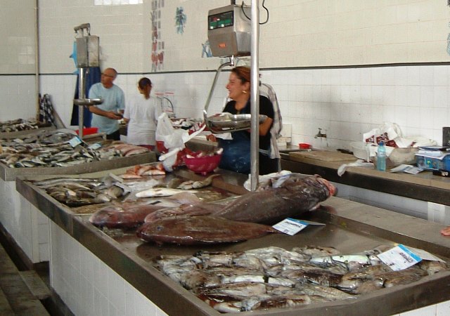 Fish market Algrave