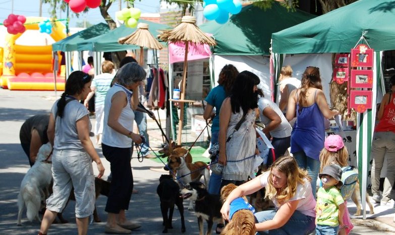 Algarve Dog Show