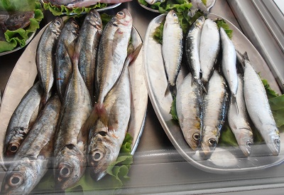 Selecting Sardines Algarve Portugal