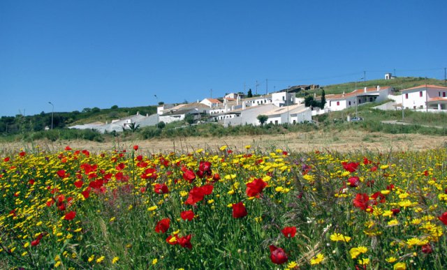 Pedralva village and flowers