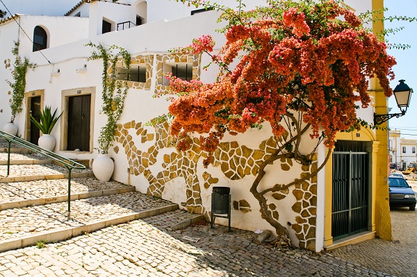 Estoi town and houses