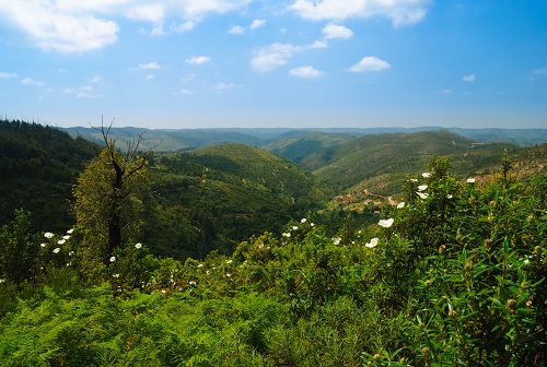 Monchique hills