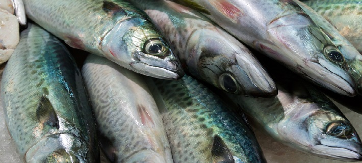 Peixe fresco - fundamental na gastronomia do Algarve