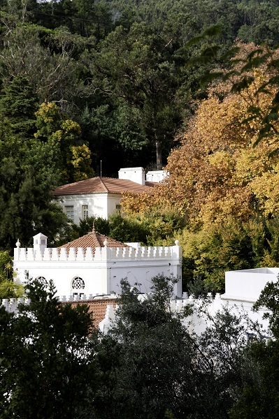 Monchique hillside villas